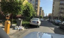 长春小区最新爆料,揭秘神秘事件背后的真相